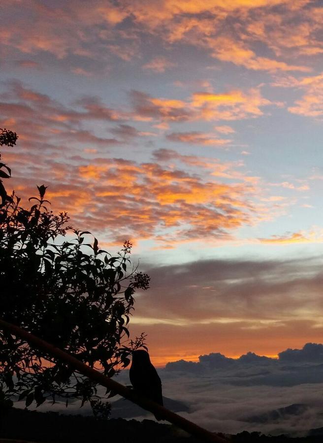 Hotel Mirador De Quetzales Providencia Kültér fotó